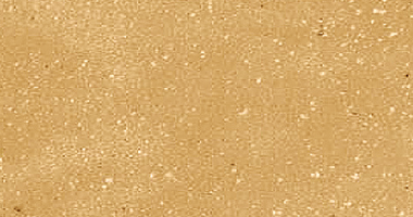 티에라(TIERRA)